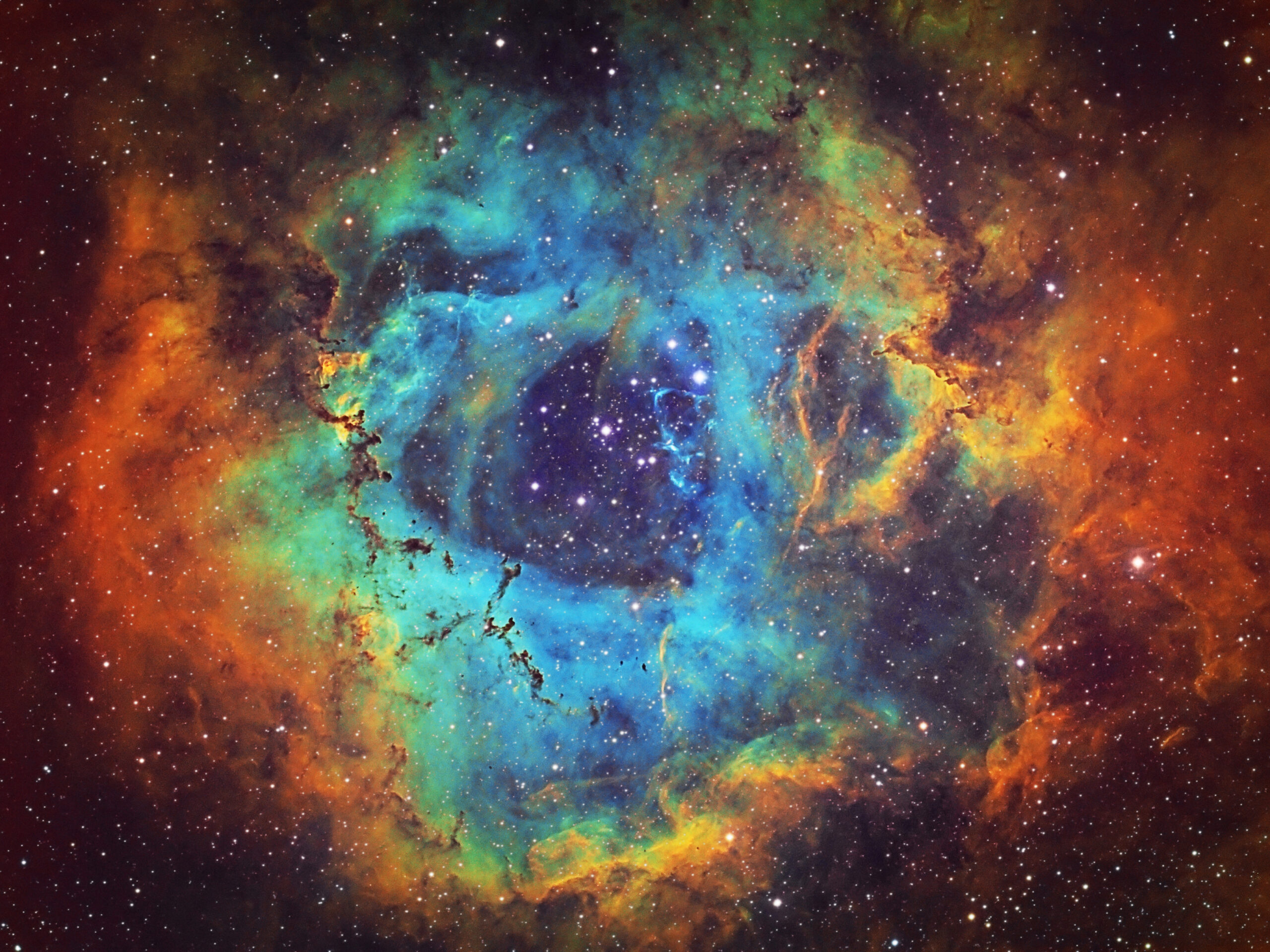 The Rosette Nebula